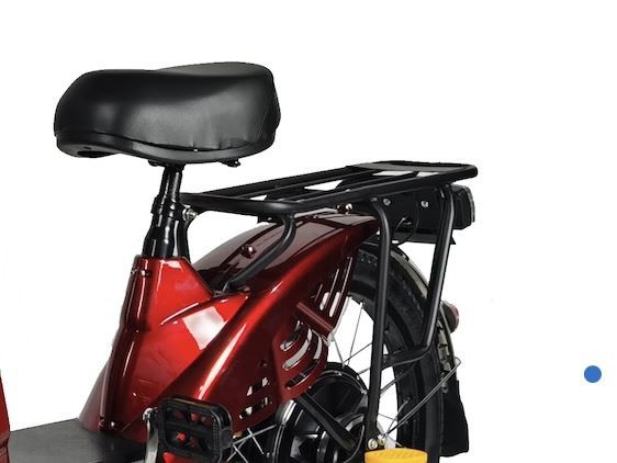 2.back seat assist hybrid electric bike family use