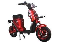 Lityumni olib ketish uchun elektr velosipedni etkazib berish