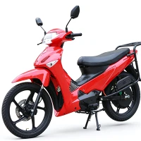 Egri nurli elektr mototsikl iqtisodiy zavodi to'g'ridan-to'g'ri sotish