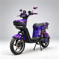 Zavodning to'g'ridan-to'g'ri 1500 Vt quvvatga ega elektr mototsikli, old tomoni yopiq
